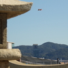 空高く