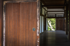 東福寺本坊庭園9