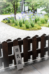 雨の蘆山寺3