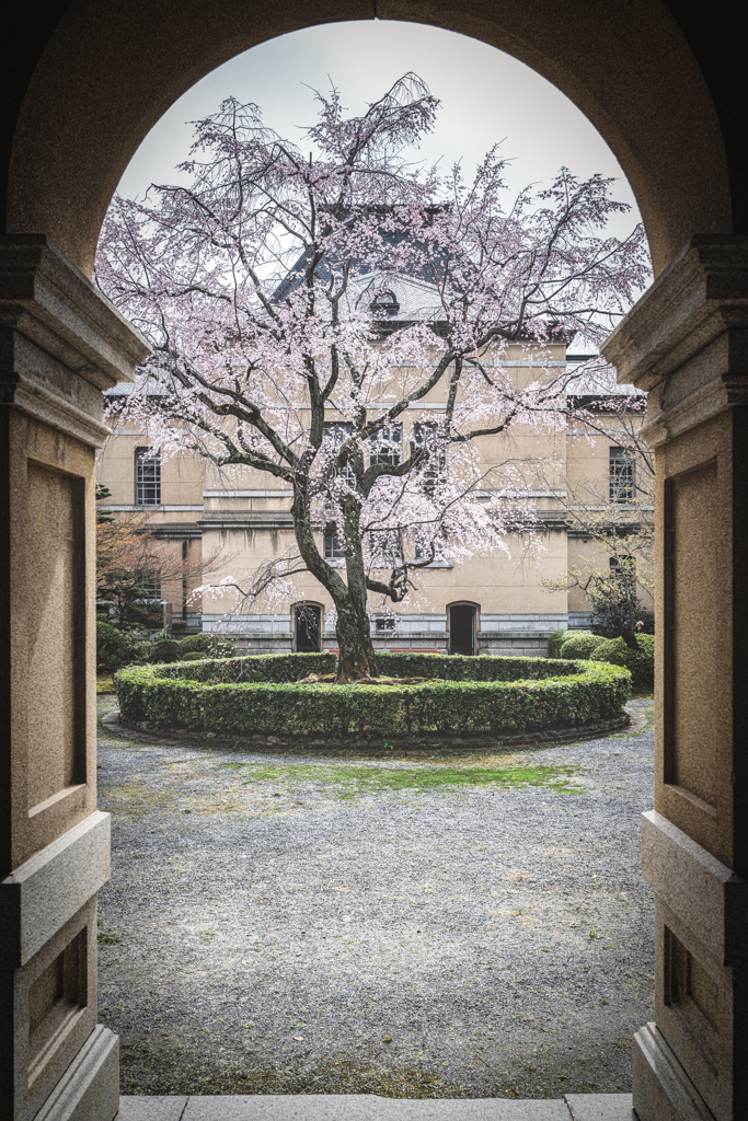 京都府庁旧本館2