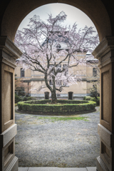 京都府庁旧本館2