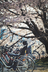 自転車1