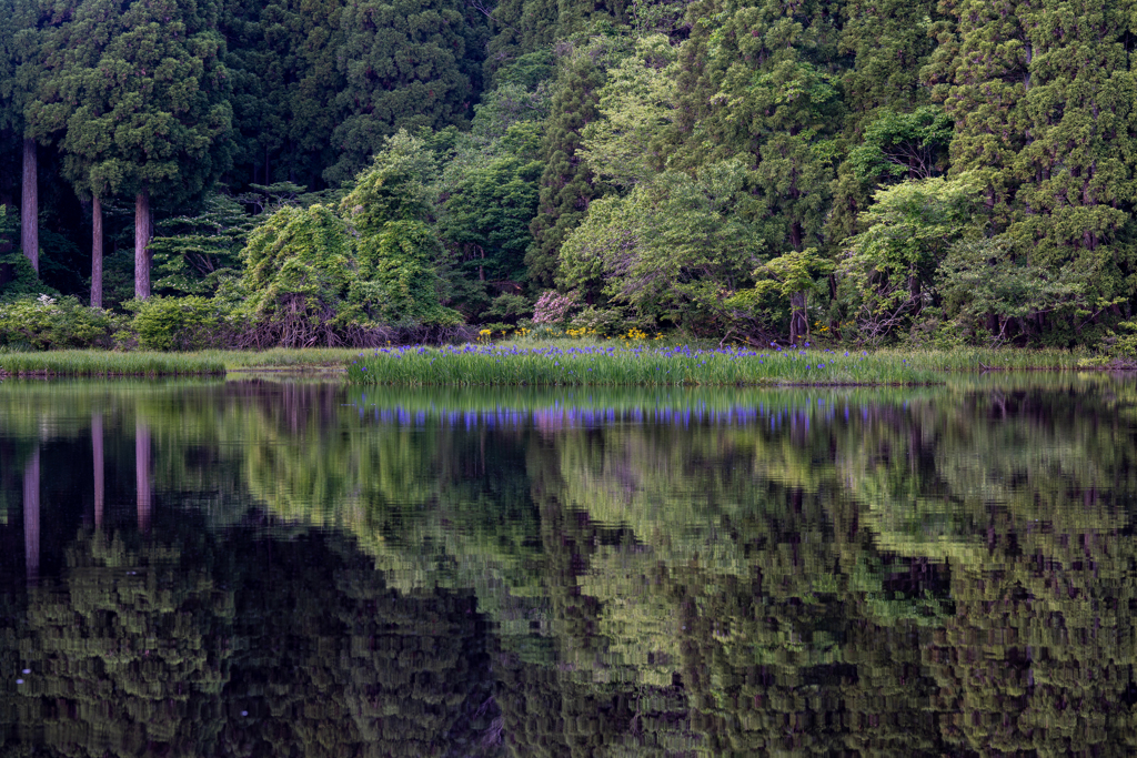 平池近況3
