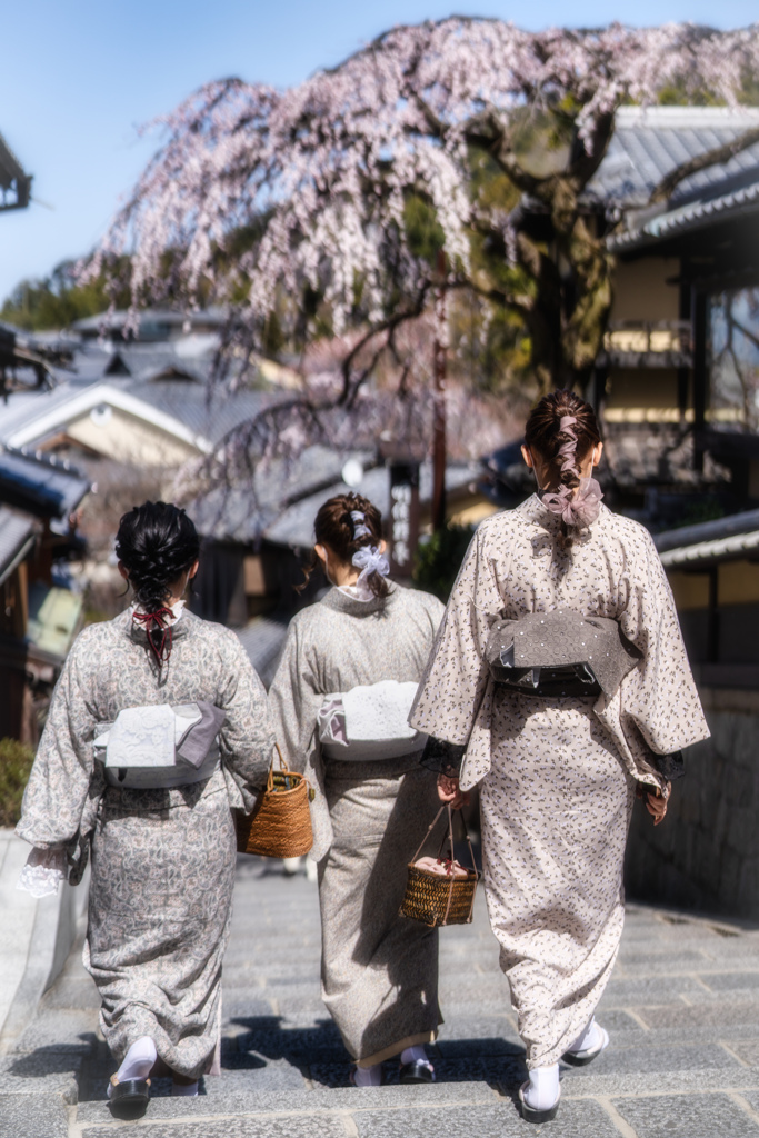 桜の季節がやってきた5