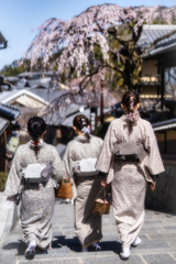 桜の季節がやってきた5