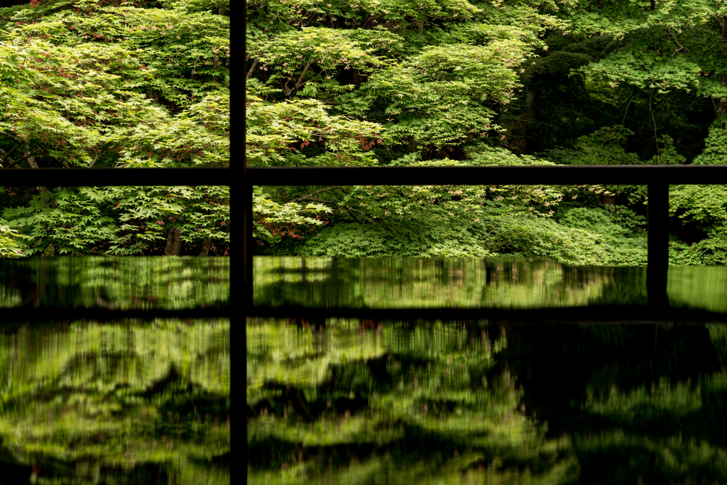 瑠璃光院2　