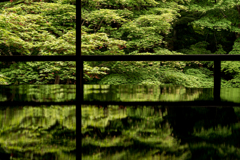 瑠璃光院2　