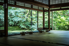 初秋の瑠璃光院4