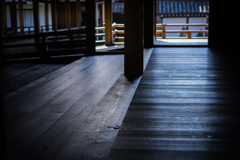 東福寺本坊庭園8