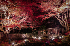 夜の教林坊1