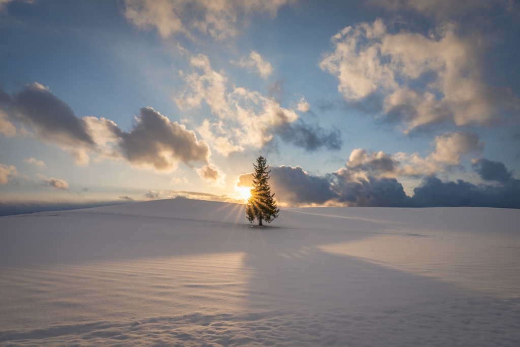 クリスマスツリーの夕景2