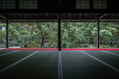 緑の圓光寺1