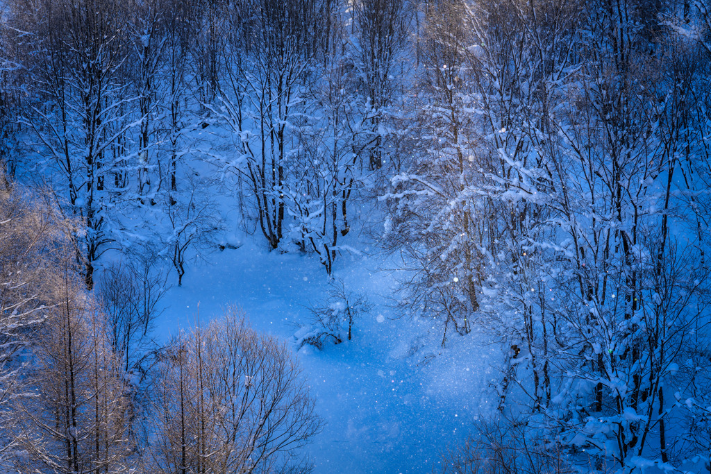 A little diamond dust