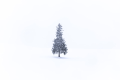 ホワイトクリスマス