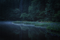 平池1