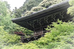 初夏の圓教寺1