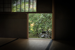 秋の瑠璃光院7