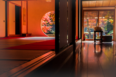 秋の明月院4