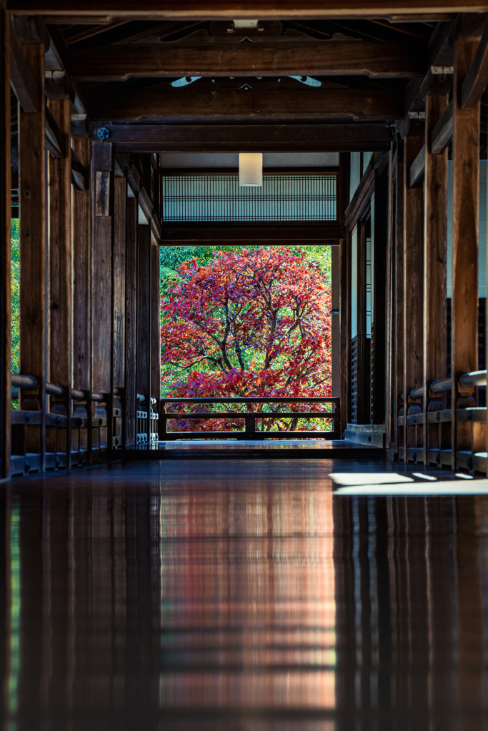 秋の長谷寺2