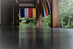 春の智積院1