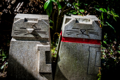 猫の細道2