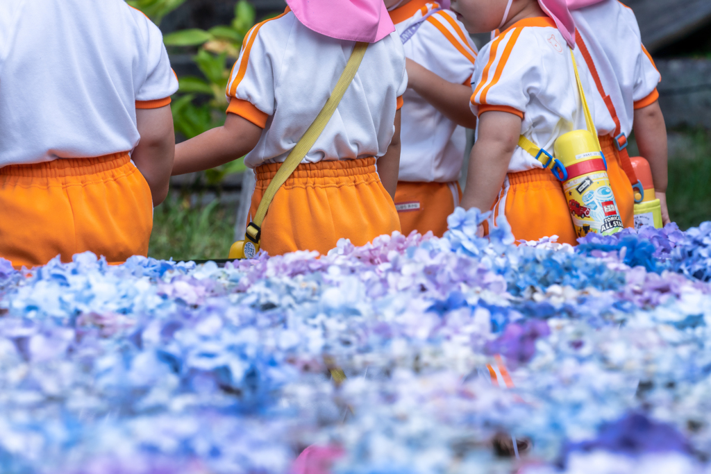 あじさいうかべ