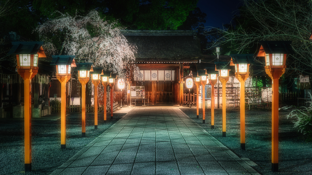 夜の平野神社2