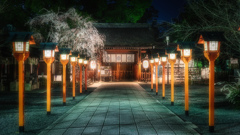 夜の平野神社2