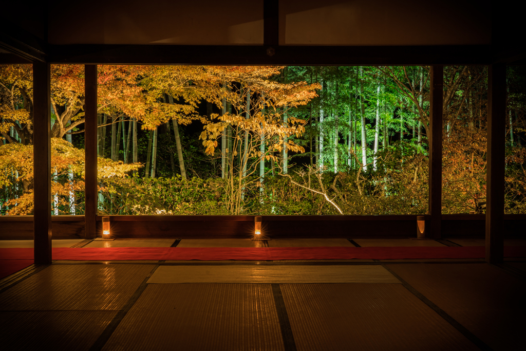 夜の宝泉院2