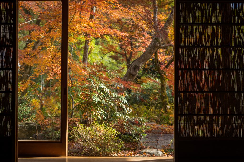 秋の直指庵3