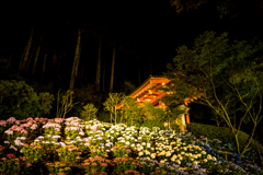 三室戸リターンズ2