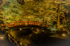 夜の北野天満宮2