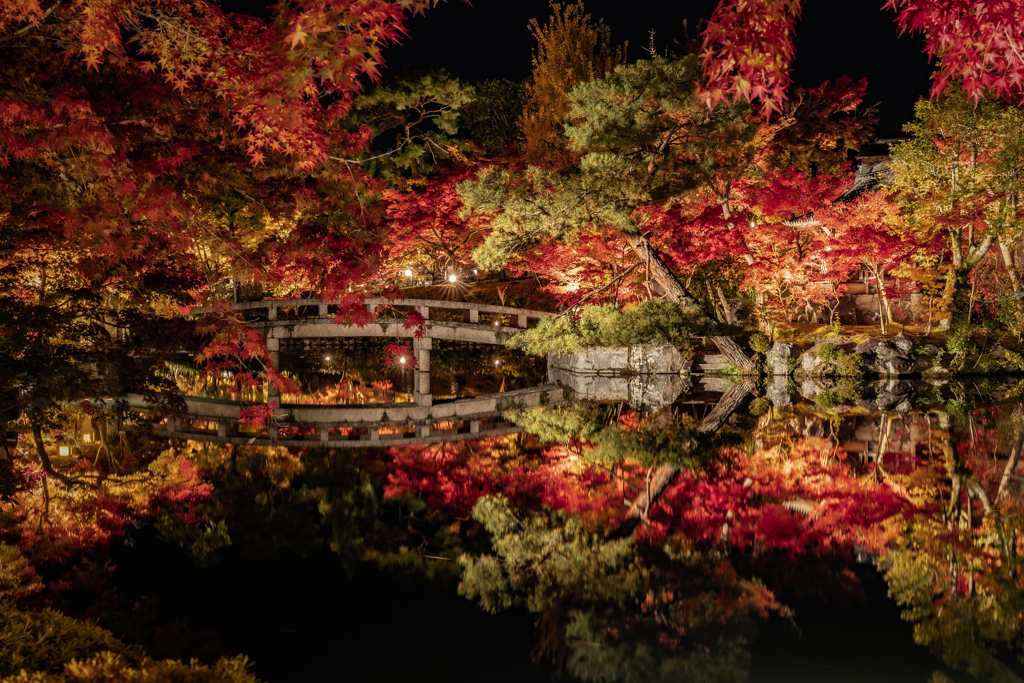 夜の永観堂1