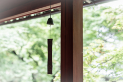 夏模様