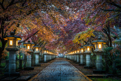 丹波高山寺2