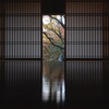 常寂光寺1