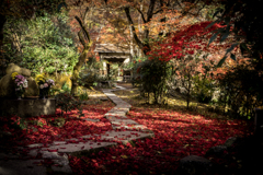 秋の直指庵2
