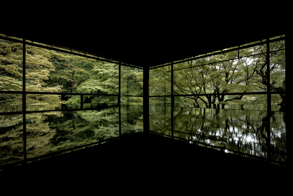 緑の瑠璃光院1