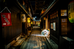 白い和傘のある景色2
