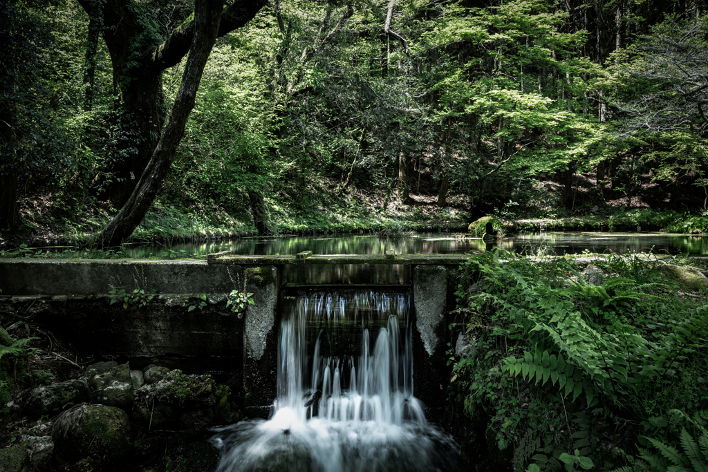 山吹水源2