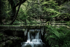 山吹水源2