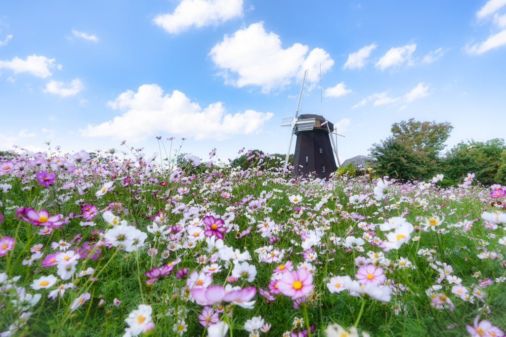 花博記念公園