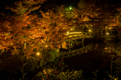 夜の永観堂2