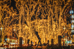 夜の定禅寺通り1