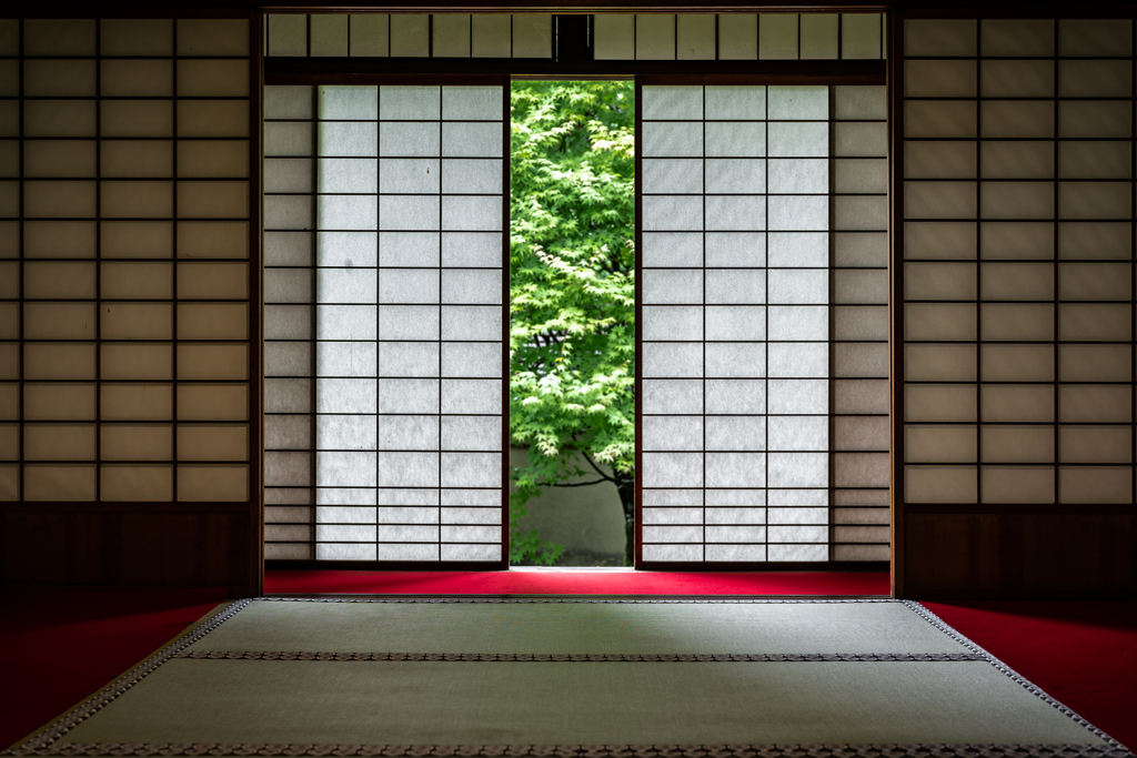 初夏の雲龍院1