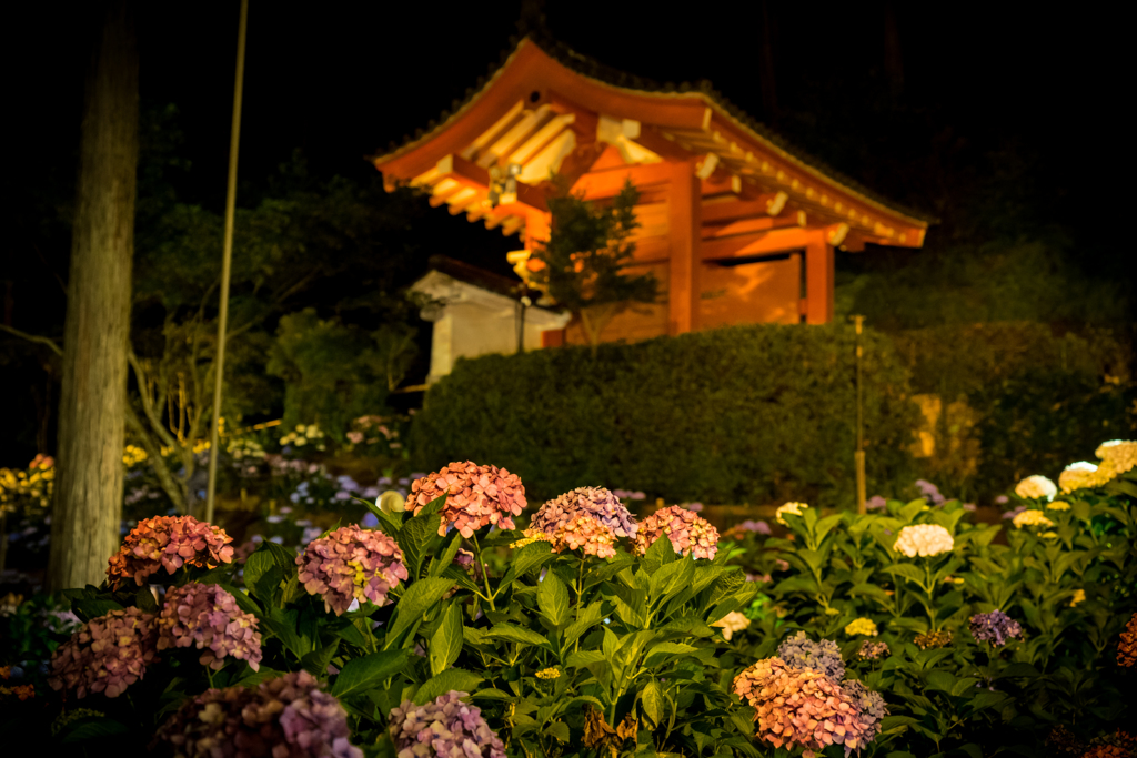 三室戸リターンズ4