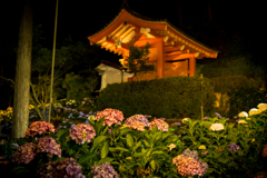 三室戸リターンズ4