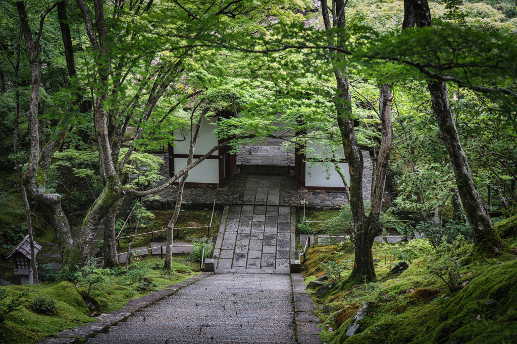 常寂光寺2