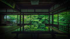 2020瑠璃光院3