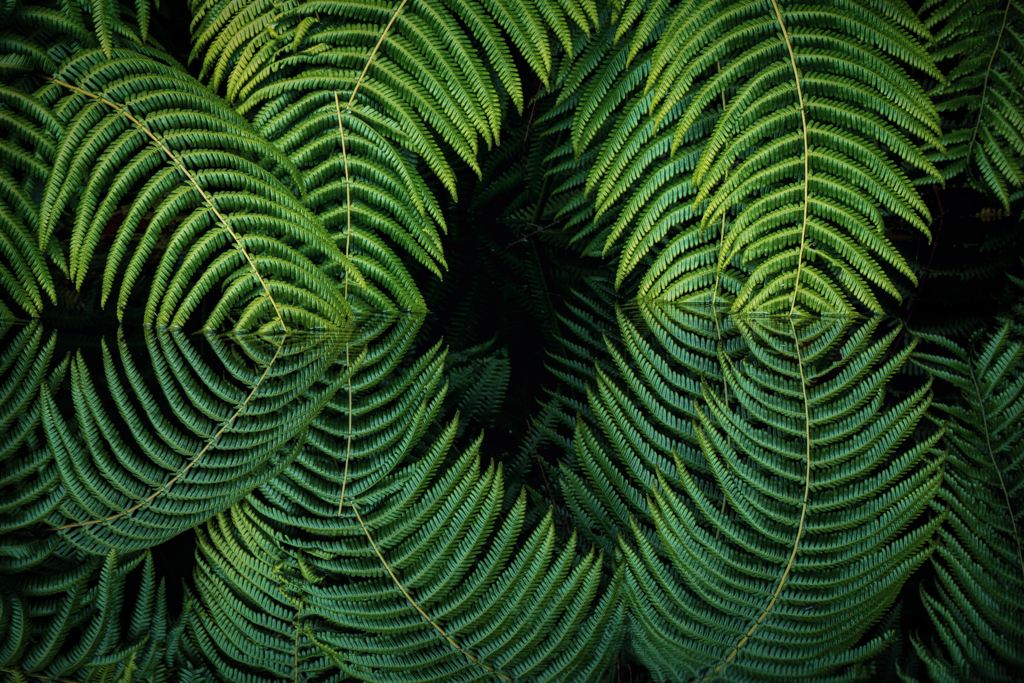 弥生の森リターンズ